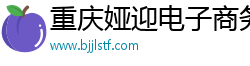 重庆娅迎电子商务